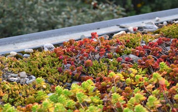 the cost of Nepgill green roof installation