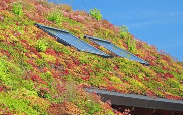 Nepgill living roof systems